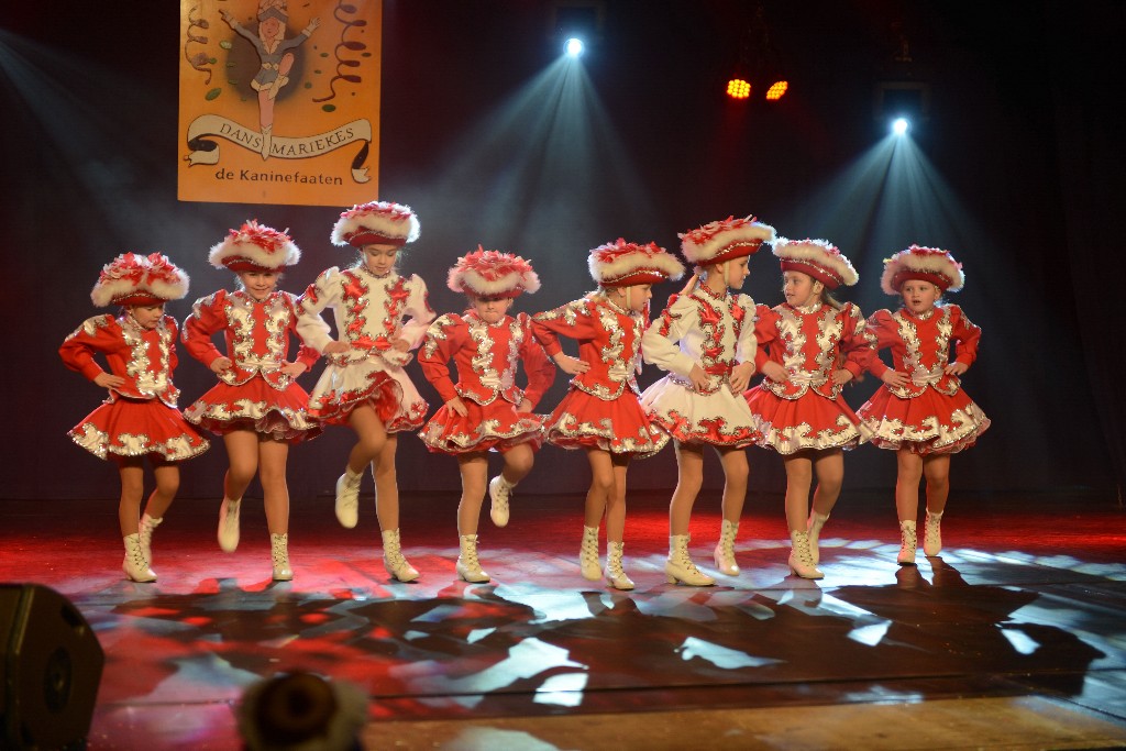 ../Images/Dansmarieke Festival 2016 062.jpg